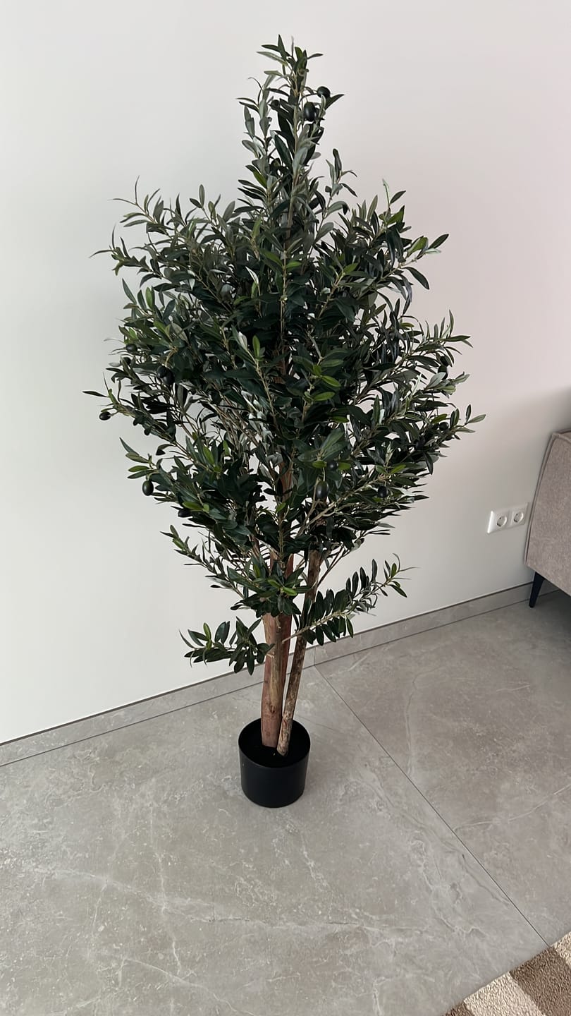 Customer photo review of Kunst Olijfboom 165cm Deluxe