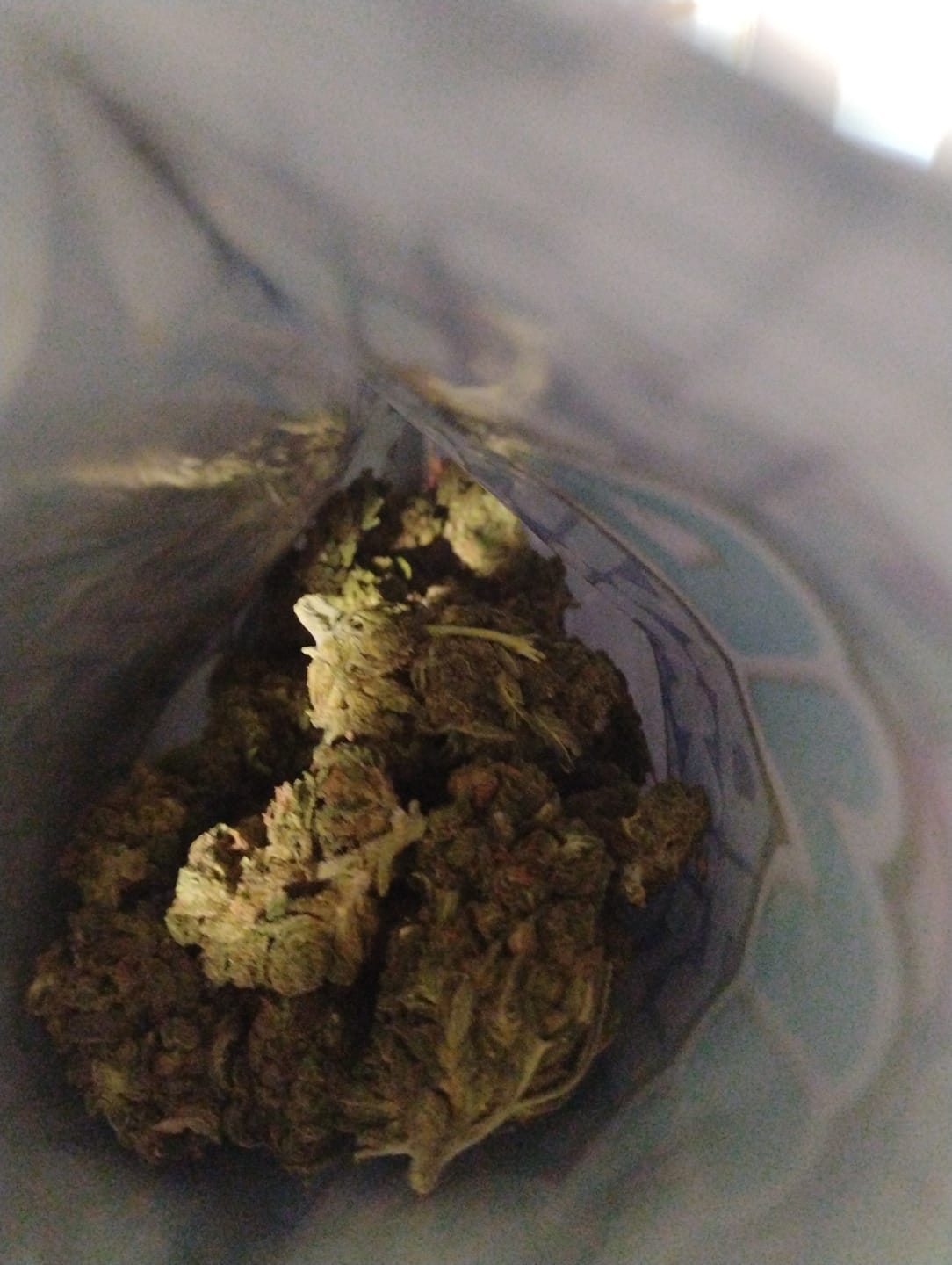 Customer photo review of Jungle Gelato - 28 Grams - Indica