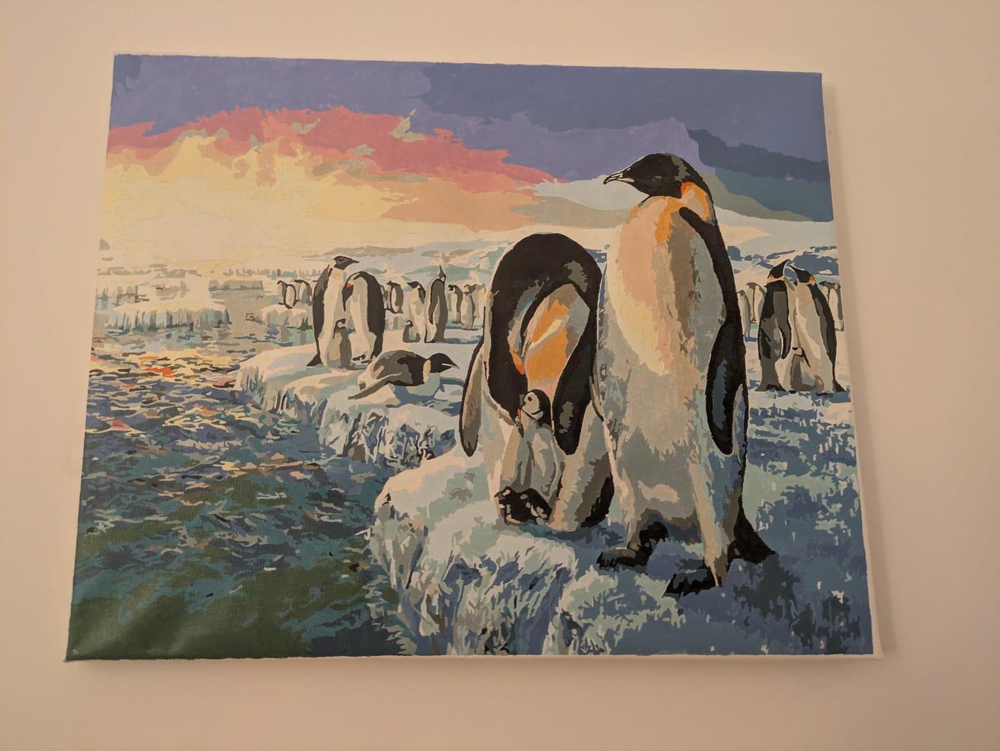 Customer photo review of Pingouins sur la banquise