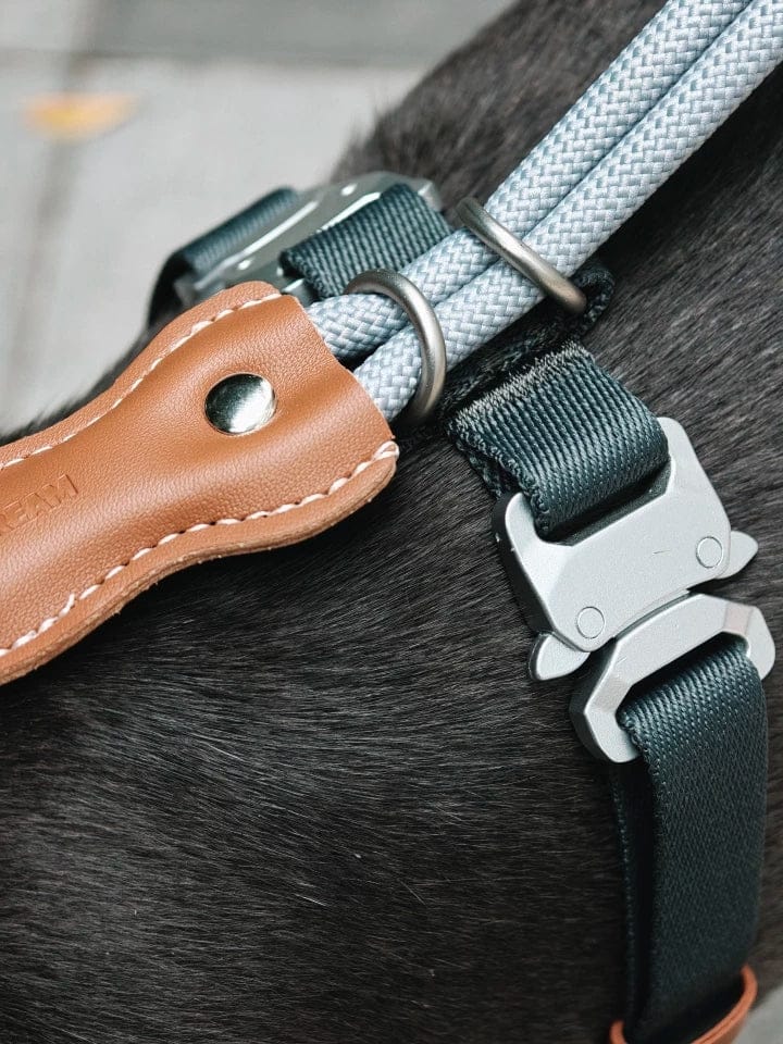 Customer photo review of H-Style Leather & Round Rope Adjustable Dog Harness – Harness only or Harness & Leash Set