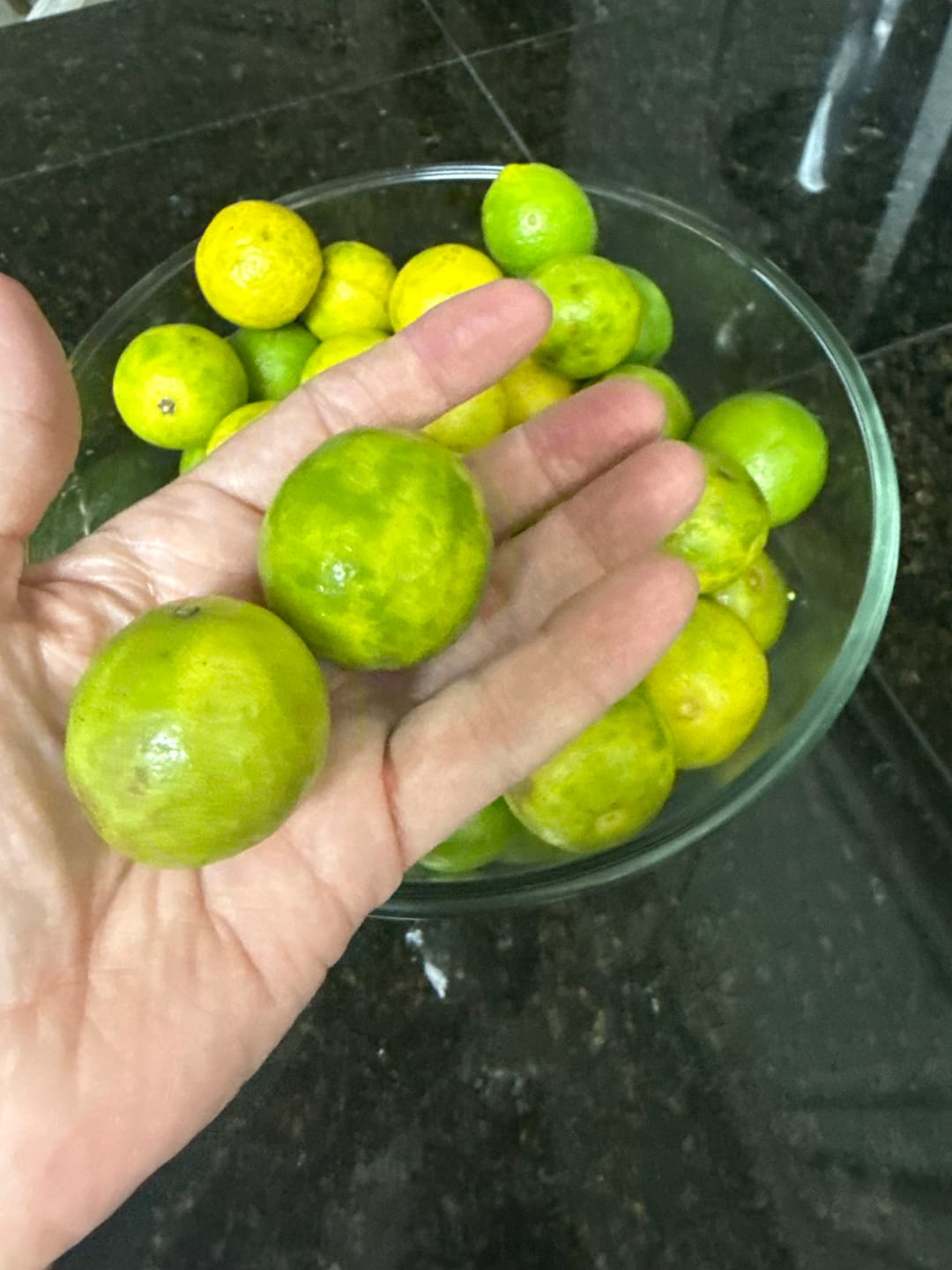 Customer photo review of Organic Key Limes 3 lbs