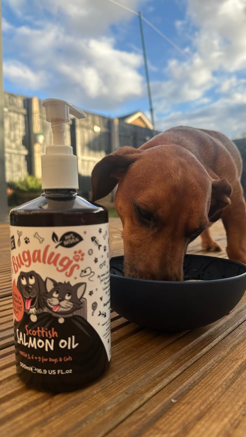 Customer photo review of Scottish Salmon Oil for Dogs & Cats