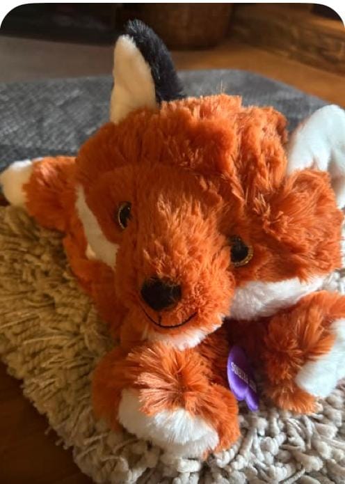Customer photo review of Fox Stuffed Animal, 16" DIY Plush Kit | Sew-Free | Make Your Own