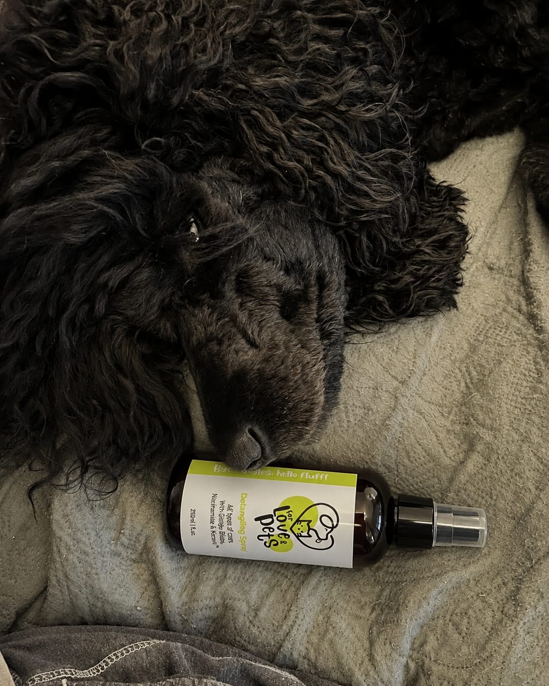Customer photo review of Λοσιόν Ξεμπερδέματος για Σκύλους & Γάτες, Λύνει τους Κόμπους Χωρίς Πόνο