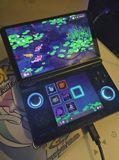 Customer photo review of Ayn Thor