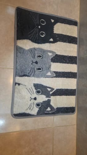 Customer photo review of Cat Print Doormat - Waterproof Soft Floor Rug