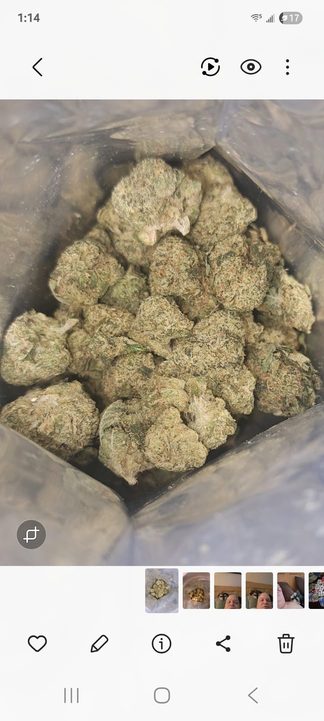 Customer photo review of Biscotti THCA Flower (Budget)