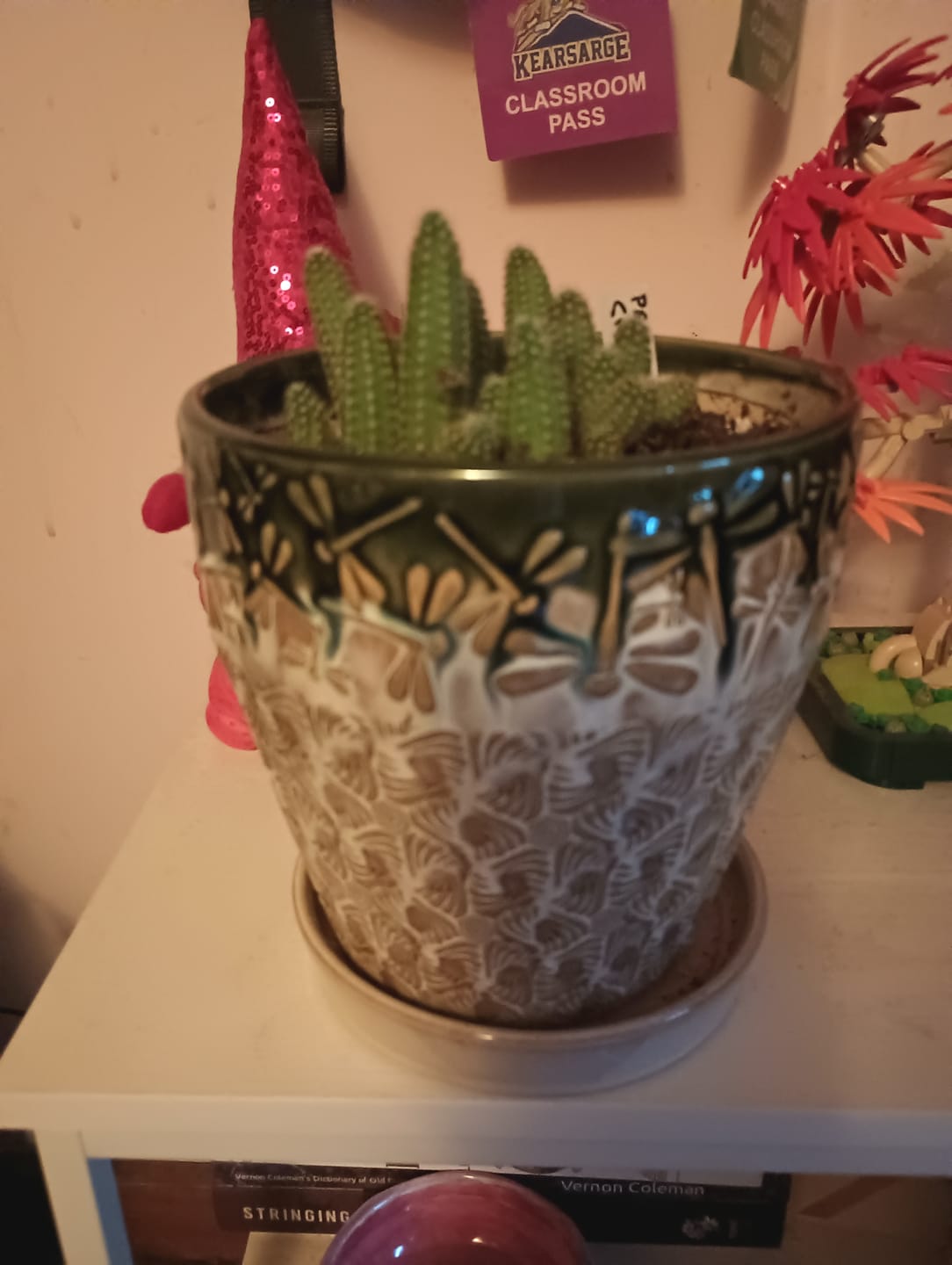 Customer photo review of Peanut Cactus