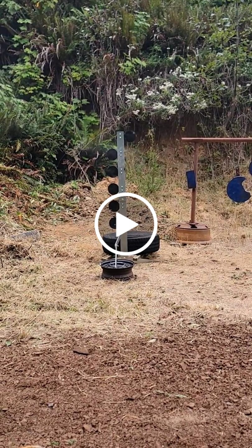 Customer video review of Dueling Tree Target