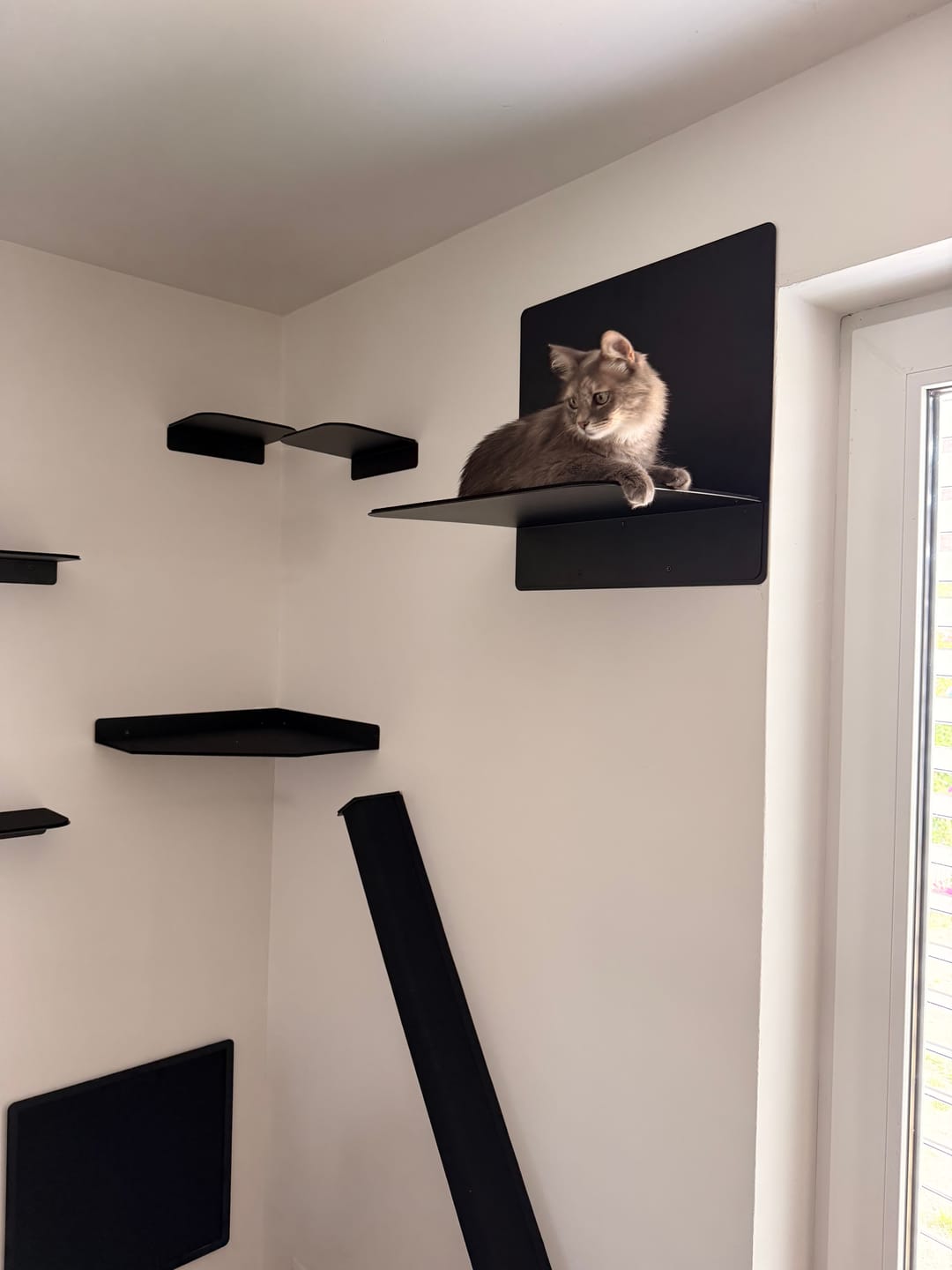 Customer photo review of STYA Katzen Kletterwand | Katzen Treppe WL340 | Mit 3 Stufen