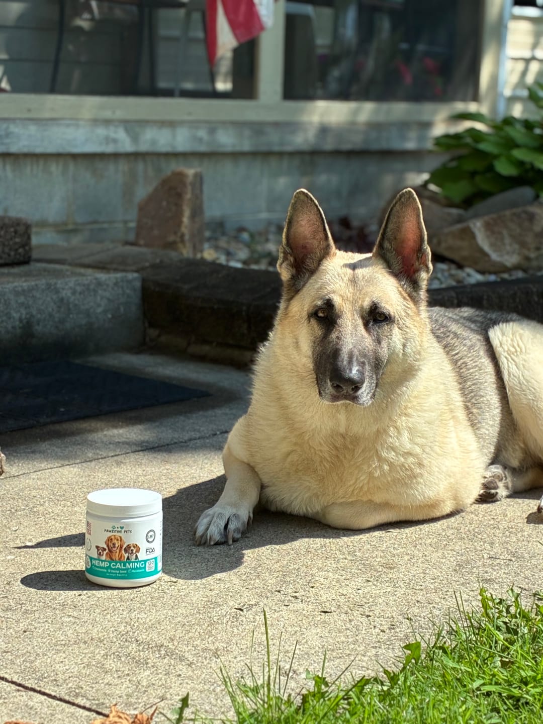 Customer photo review of Hemp Calming Chews for Dogs – 120 Soft Chews
