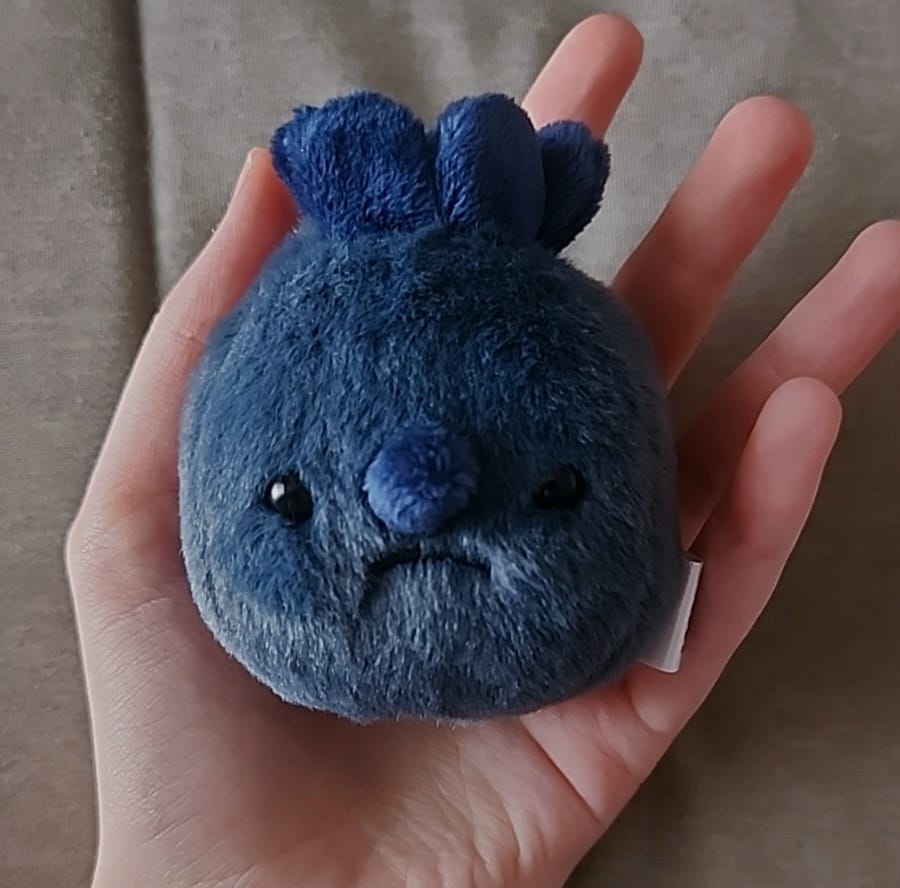 Customer photo review of Forgotten Single Blueberry
