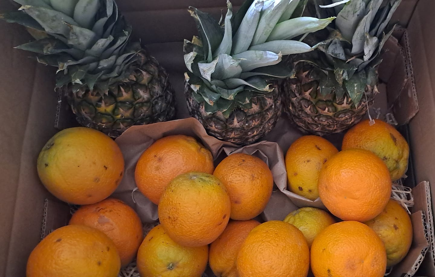 Customer photo review of Orangen Lane Late Bio von Apostolis Kreta 4kg Box