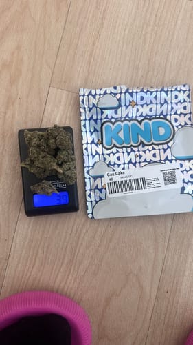 Jungle Gelato - 28 Gramm - Indica photo review