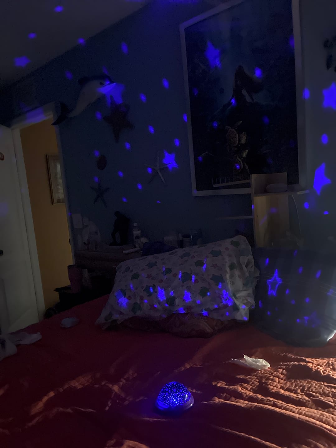 Customer photo review of 🔮Night Light Projector