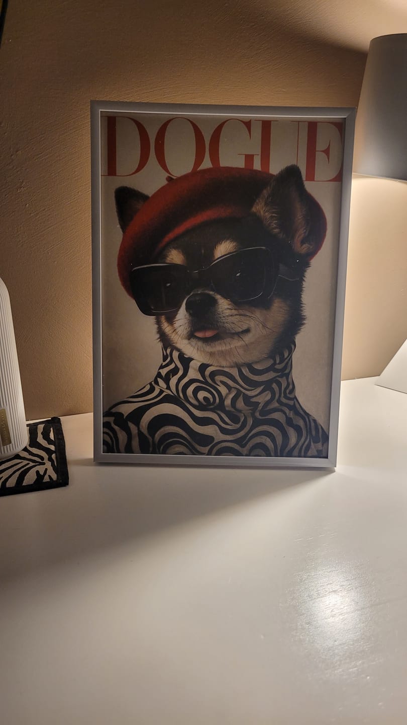 Customer photo review of Dogue - Poster personnalisé
