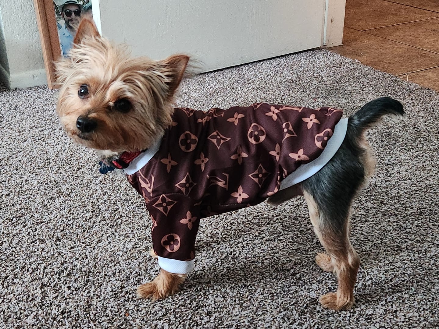 Customer photo review of 👕 Brown Summer Crisp Shirt
