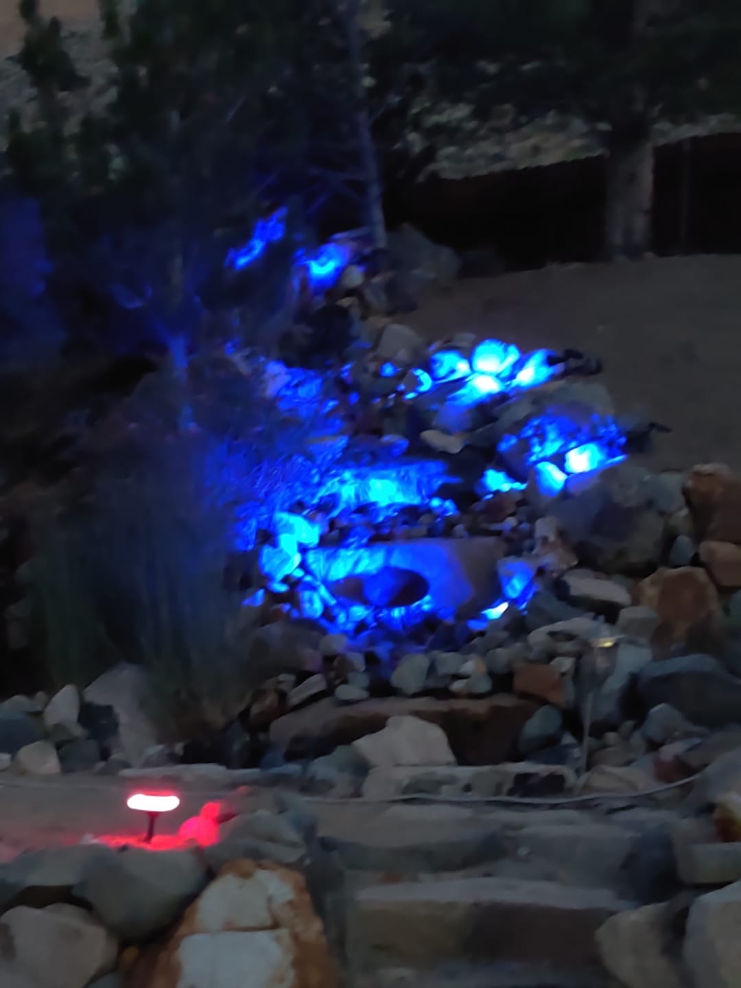 Customer photo review of TSUN 4/7 LEDs Outdoor Solar Spot Lights
