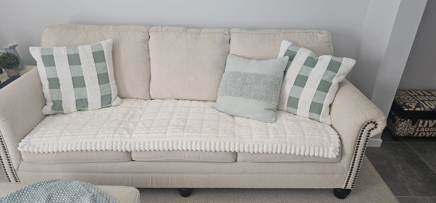 Customer photo review of CouchCloud - Couch Covers