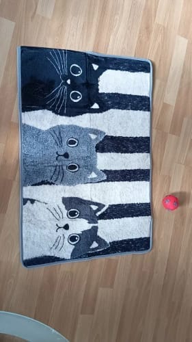 Customer photo review of Cat Print Doormat - Waterproof Soft Floor Rug