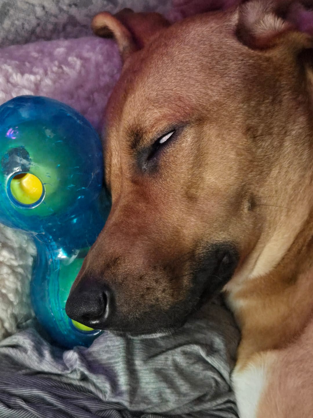 Customer photo review of GURU Duo Ball