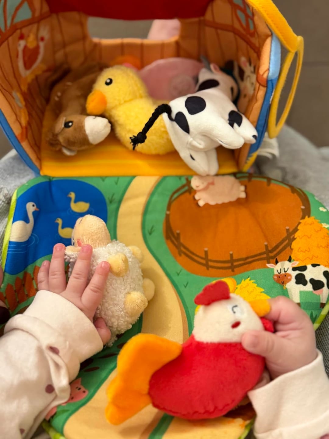 Customer photo review of 🐮 FarmyFriends™ – La Fattoria Magica che Parla e Suona