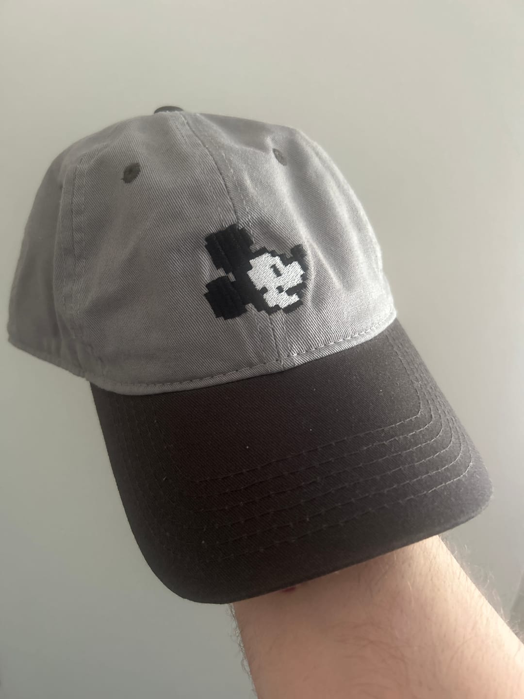 Customer photo review of Disney "Pixel Pal" – Dad Hat