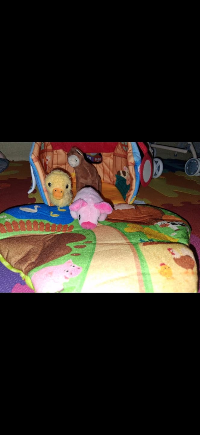 Customer photo review of 🐮 FarmyFriends™ – La Fattoria Magica che Parla e Suona