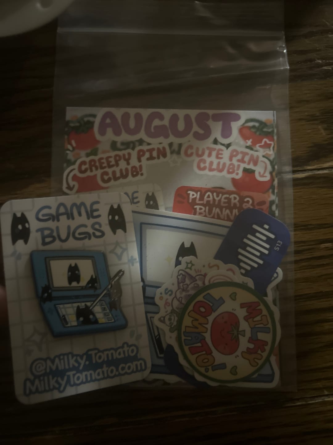 Customer photo review of August Creepy Pin Club