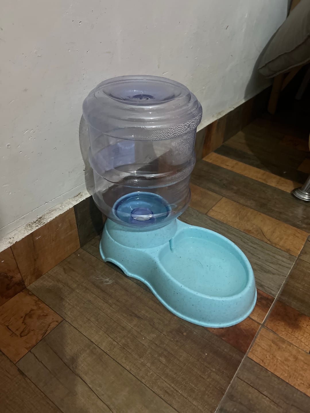 Customer photo review of CT0735 1 Pieza De Dispensador De Comida/Agua Capacidad 3.8L Para Mascota