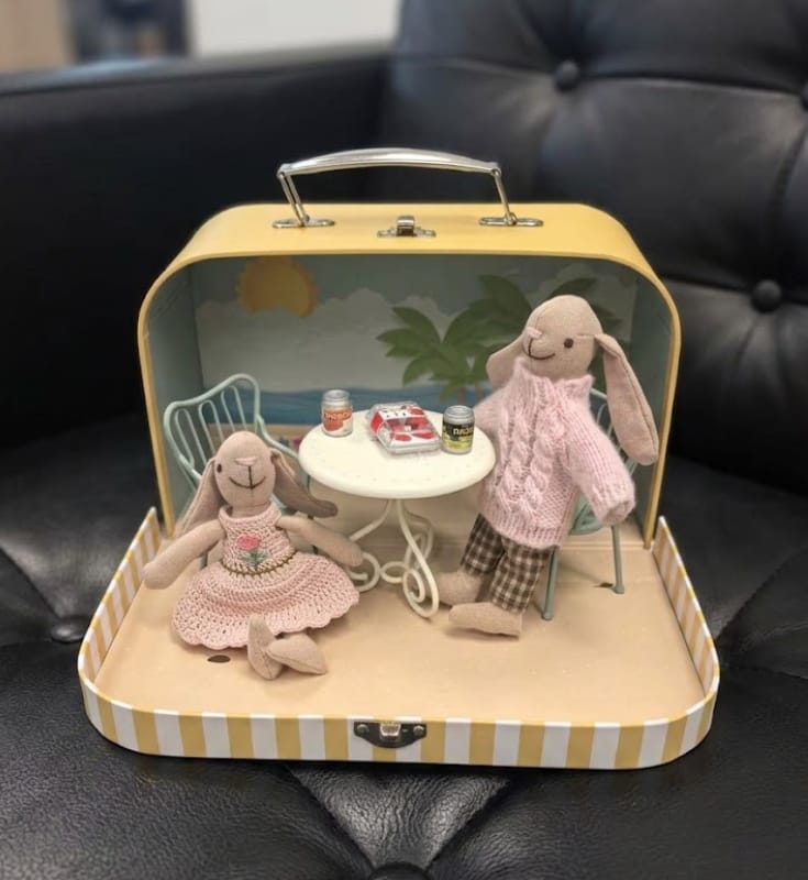 Customer photo review of Portable Dollhouse Carry Case Choose from Pink & Blue with Leather or Metal Handles - 1:12 Scale Suitcase (3 Styles)