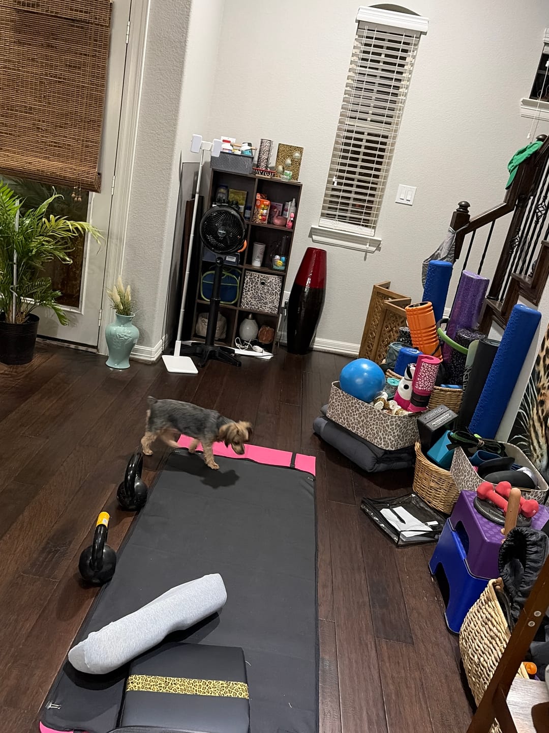 Customer photo review of FlexiStand®