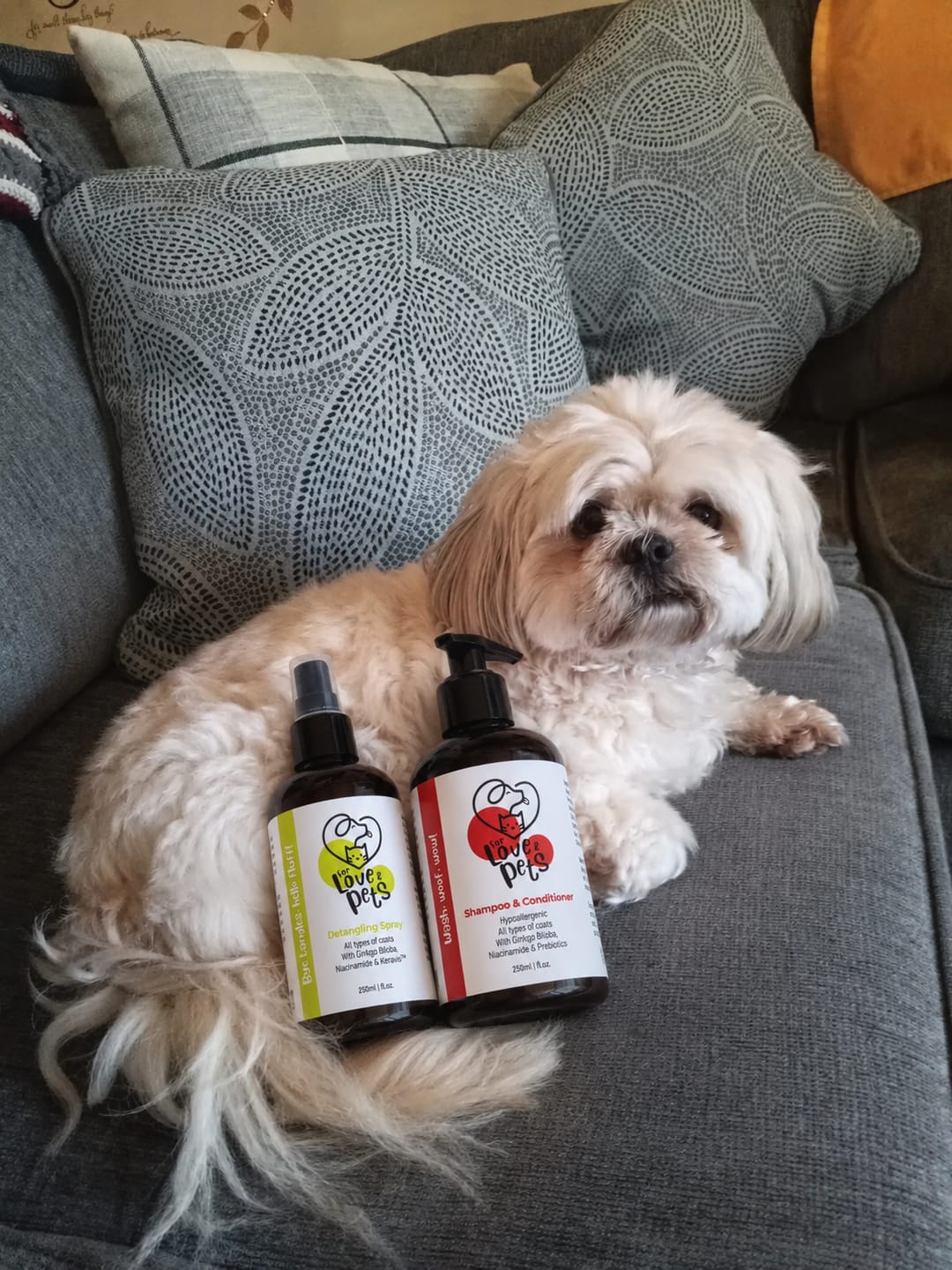 Customer photo review of Λοσιόν Ξεμπερδέματος για Σκύλους & Γάτες, Λύνει τους Κόμπους Χωρίς Πόνο
