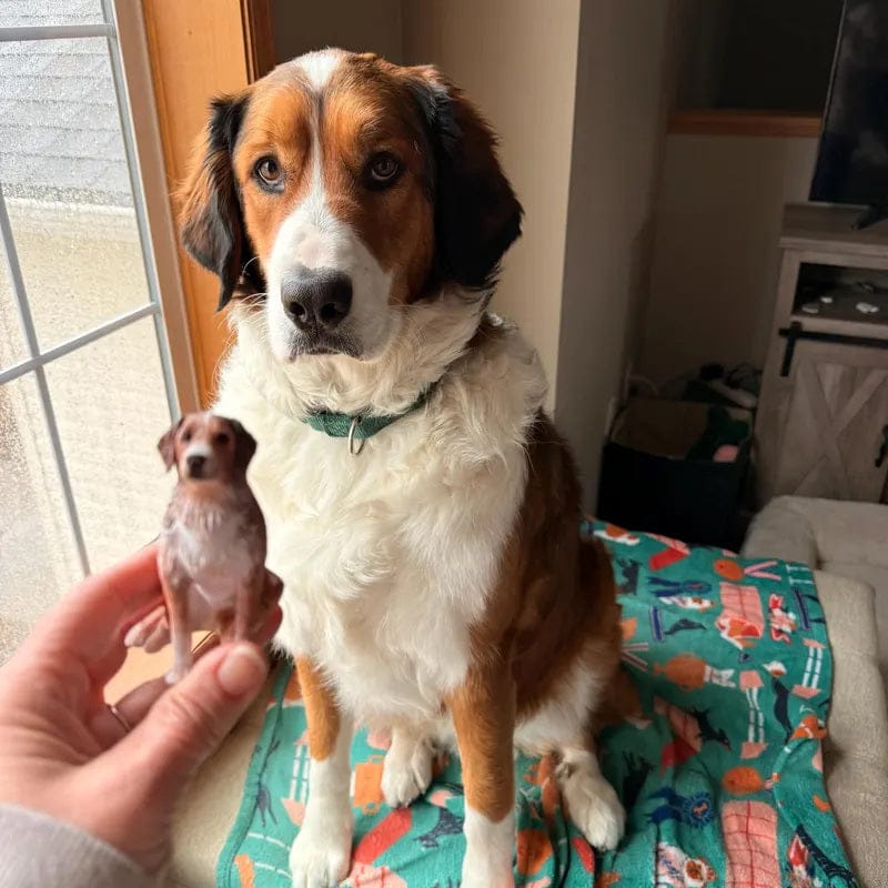 Customer photo review of Custom Handmade Polymer Clay Pet Figurine