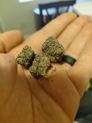Purple Trainwreck - Indoor - 4 Grams - Sativa photo review