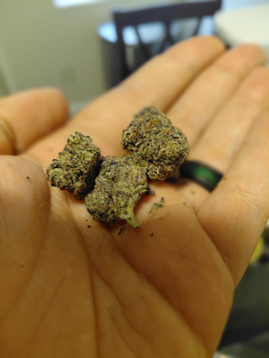 Customer photo review of Purple Trainwreck - Indoor - 4 Grams - Sativa