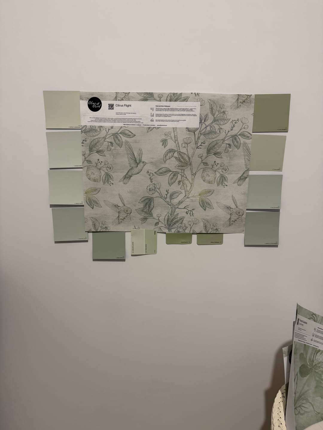 Customer photo review of Citrus Flight Wallpaper
