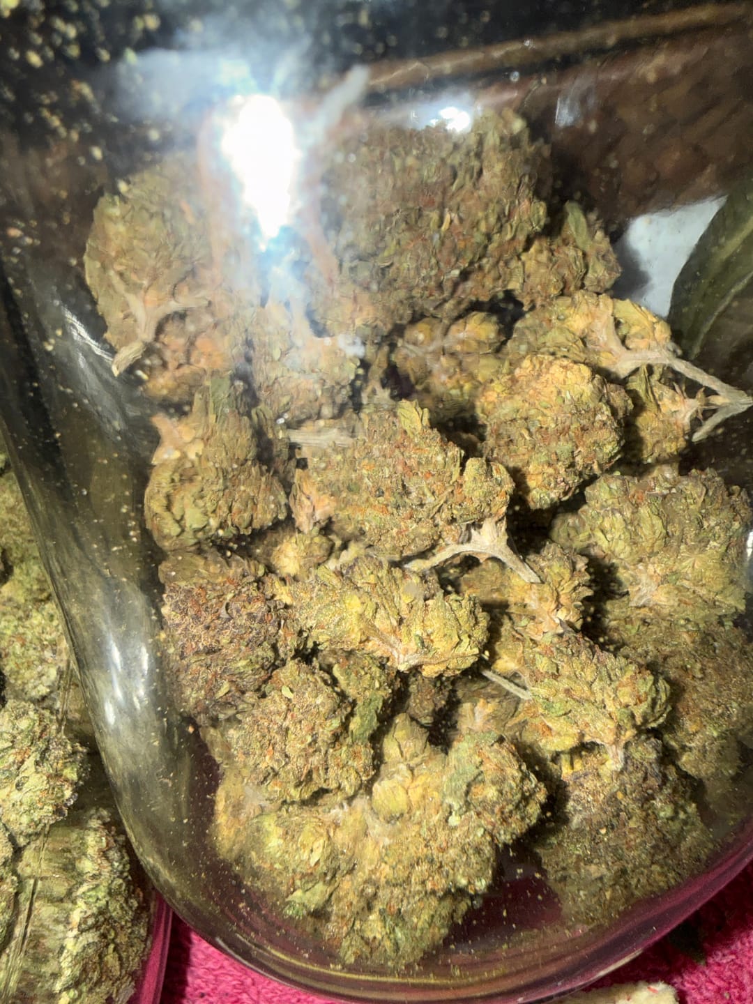 Customer photo review of Blackout Berries THCA Flower Ounce (28g)