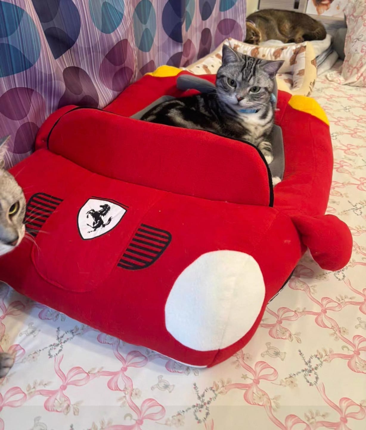 Customer photo review of Furcedes Sports Car Bed