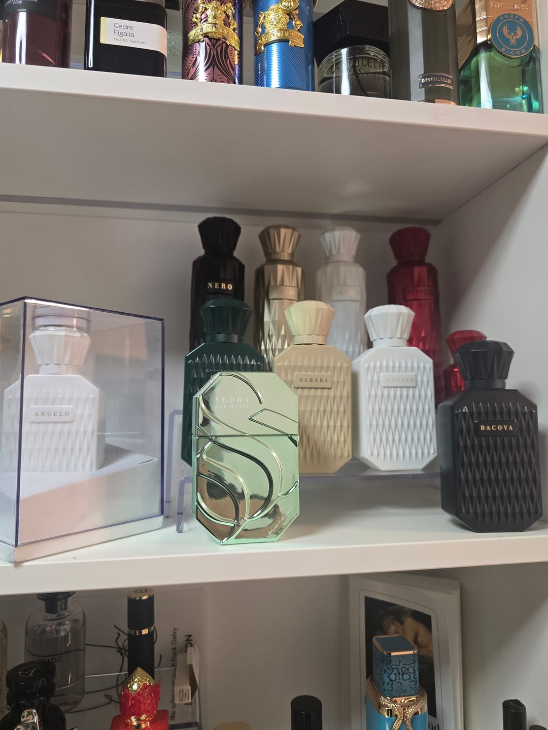 Customer photo review of Angelo - Sedra