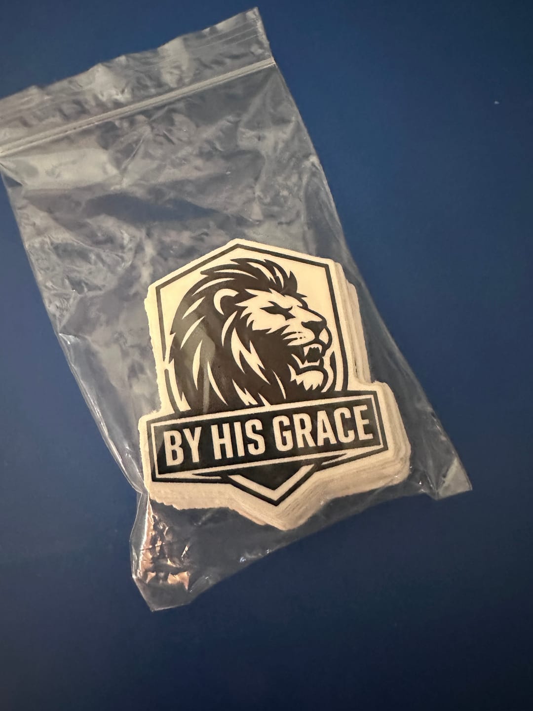 Customer photo review of 50 Custom Stickers for $19