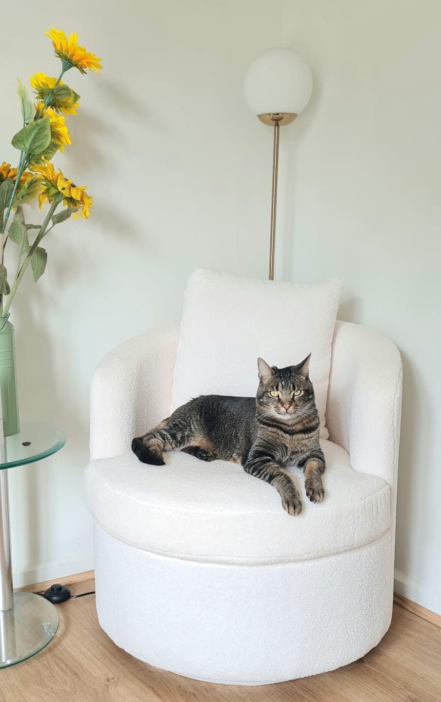 Customer photo review of Fleece Swivel Chair