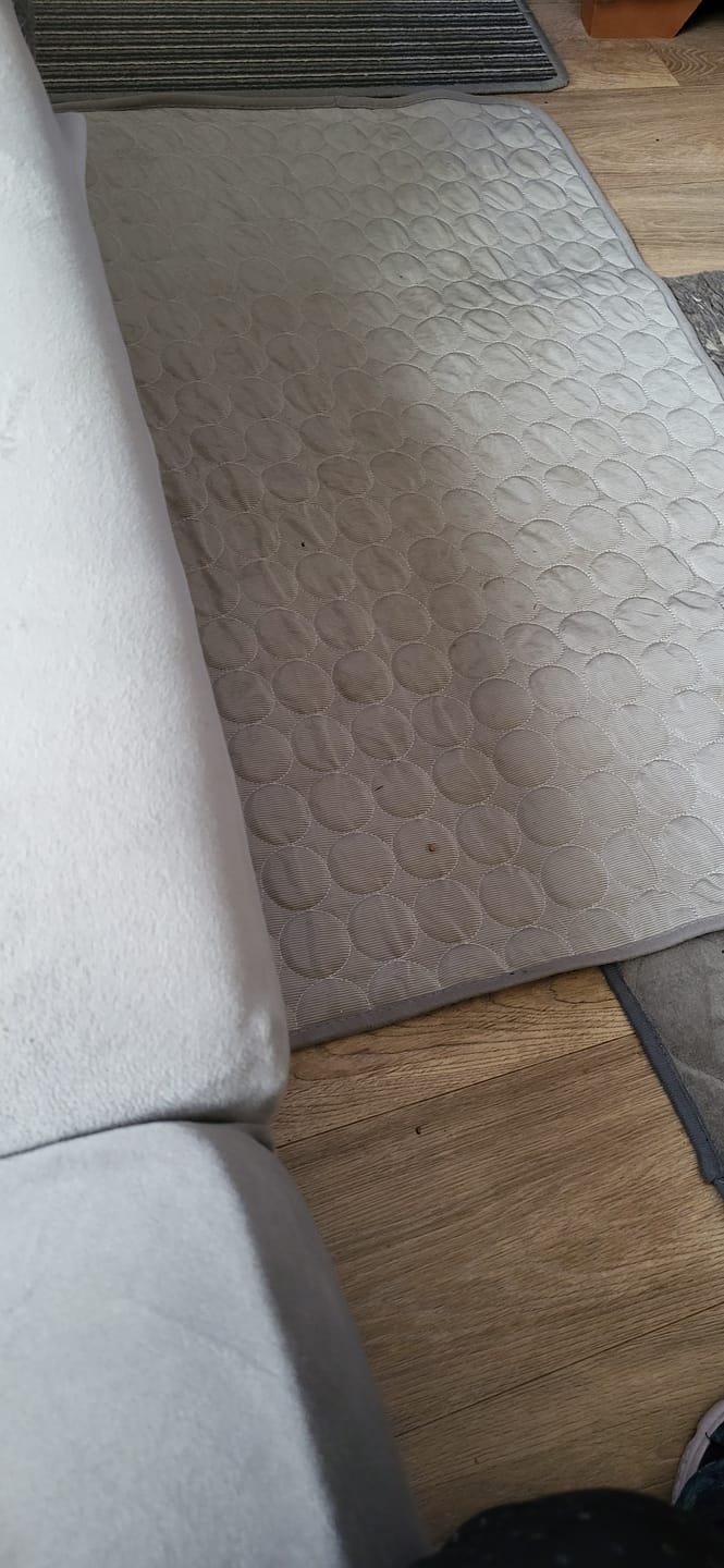 Customer photo review of The Ultimate Cooling Pet Mat