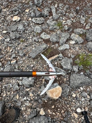 Customer photo review of Titanium Broadheads