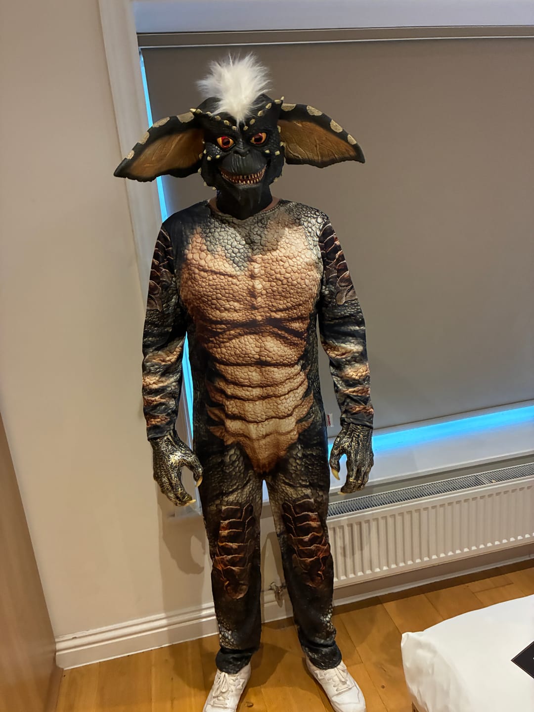 Customer photo review of Gremlins Stripe Costume