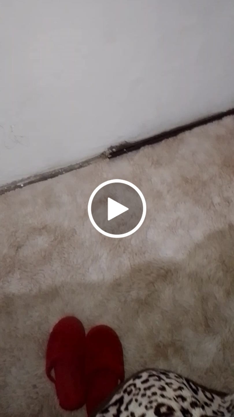 Customer video review of Alfombra Decorativa Peluda Fibra Sintética 80 x 150 cm