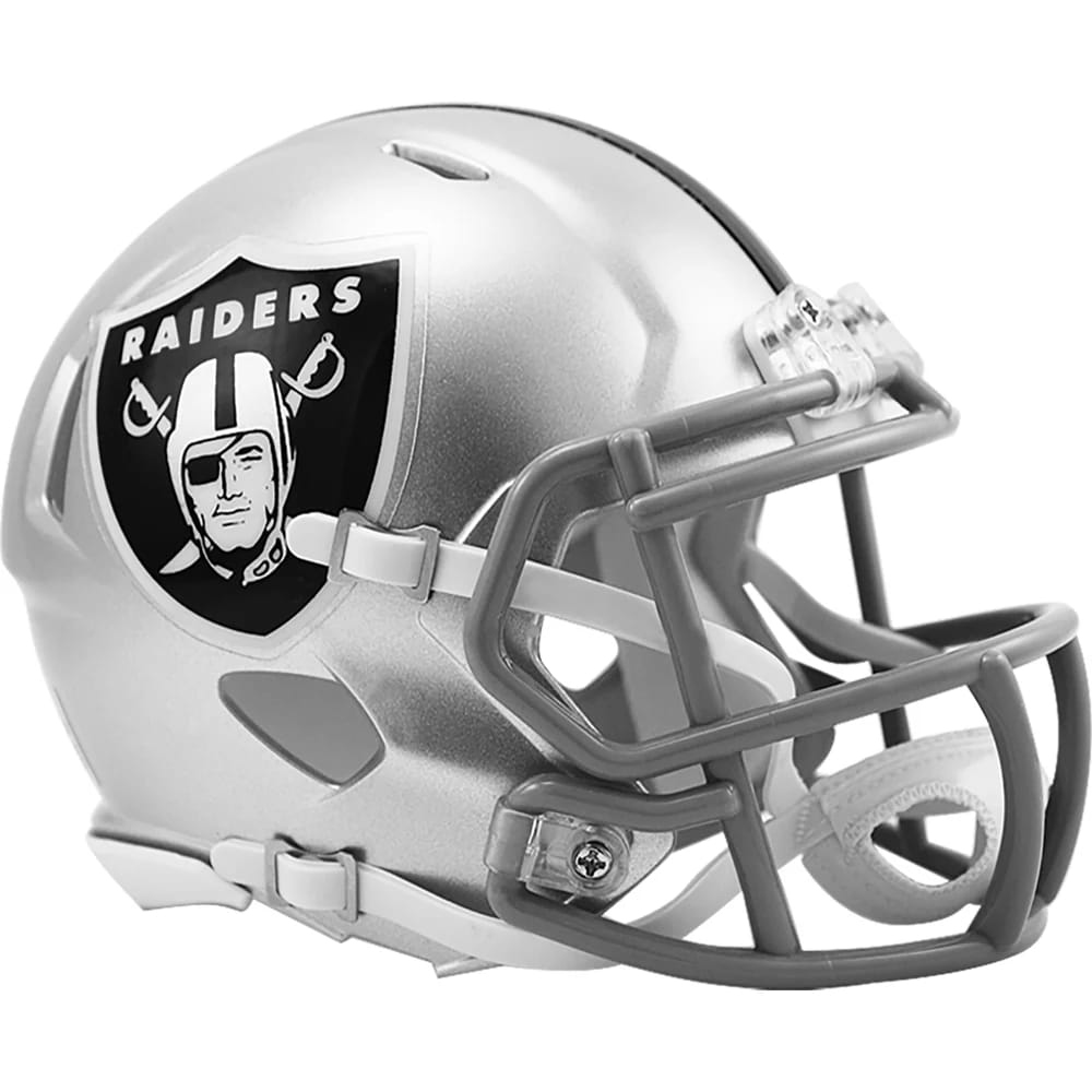 Customer photo review of Las Vegas Raiders Riddell Speed Mini Helmet