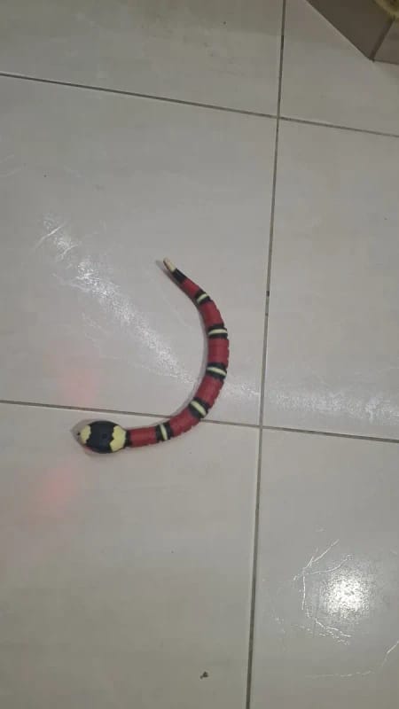 Customer photo review of The Slither — Auto Sensing Cat Snake Toy