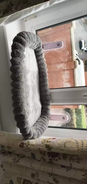 Customer photo review of Cozy Cat Window Perch Sale