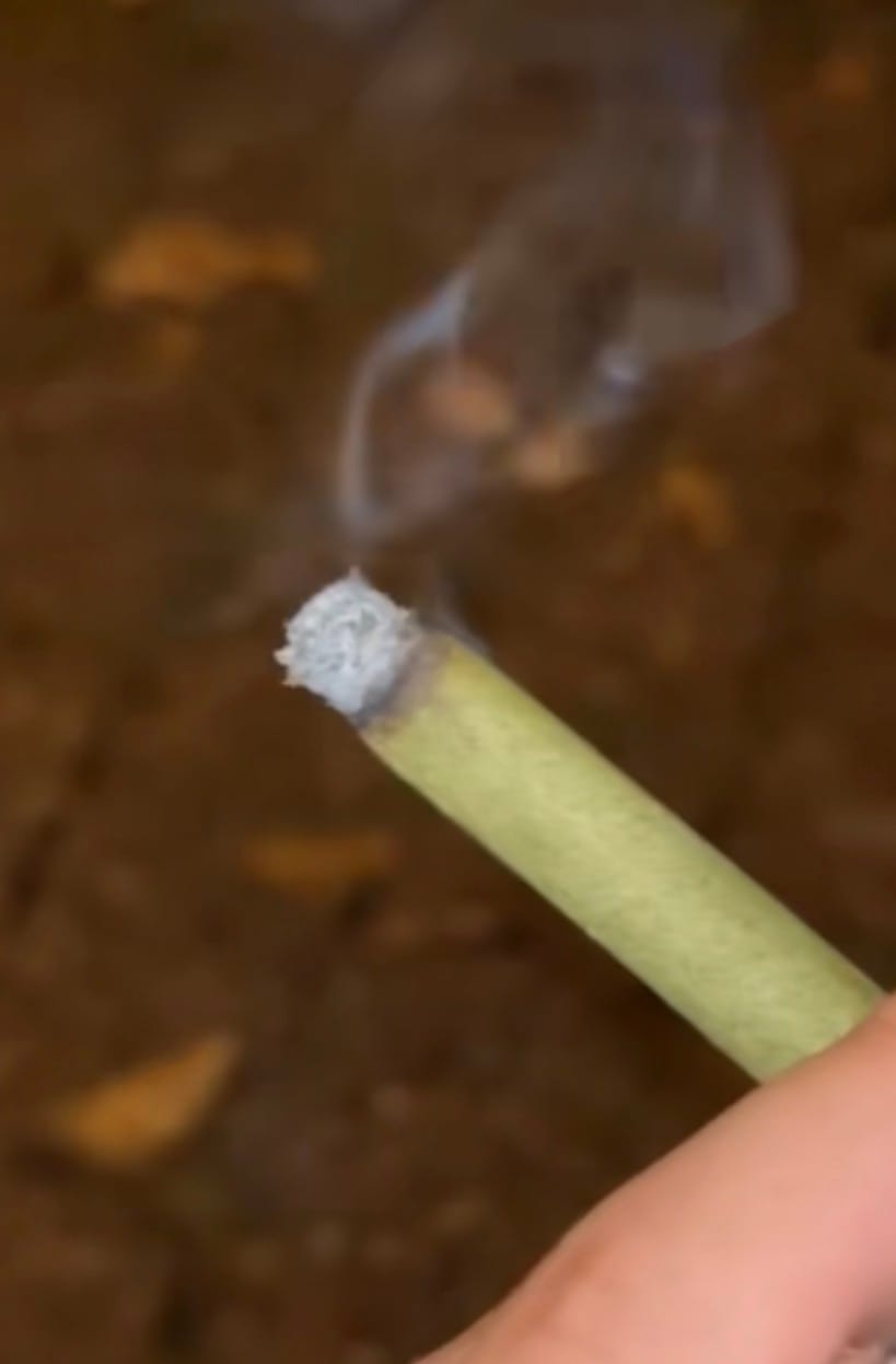 Customer photo review of Superior Blunt Prerolls